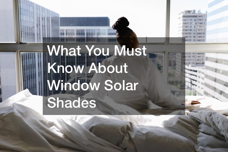 What You Must Know About Window Solar Shades